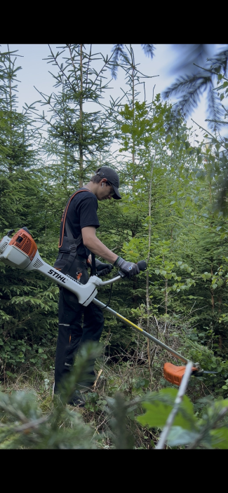 Freij med STIHL buskrydder i skoven