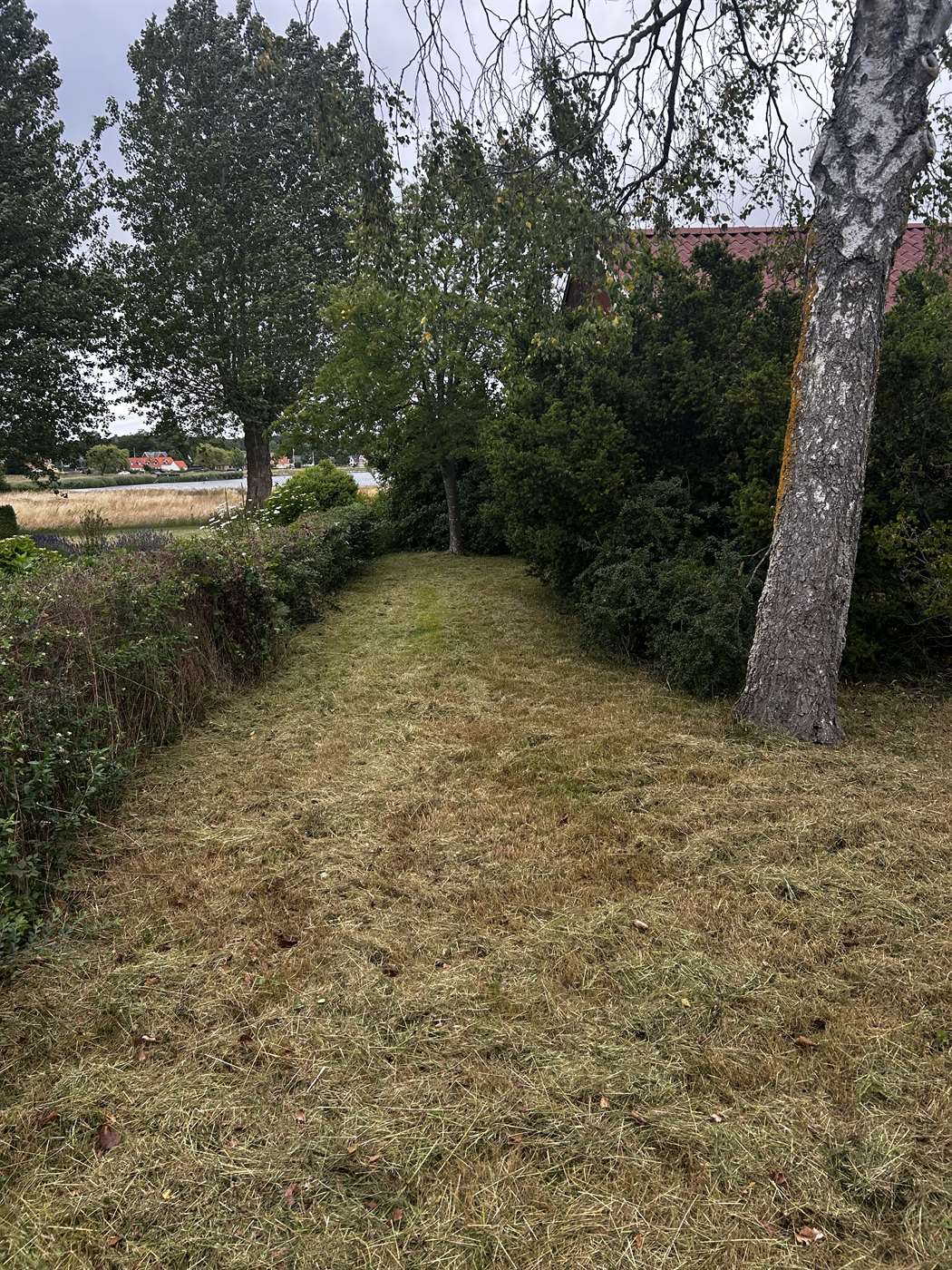 Græssti efter slåning