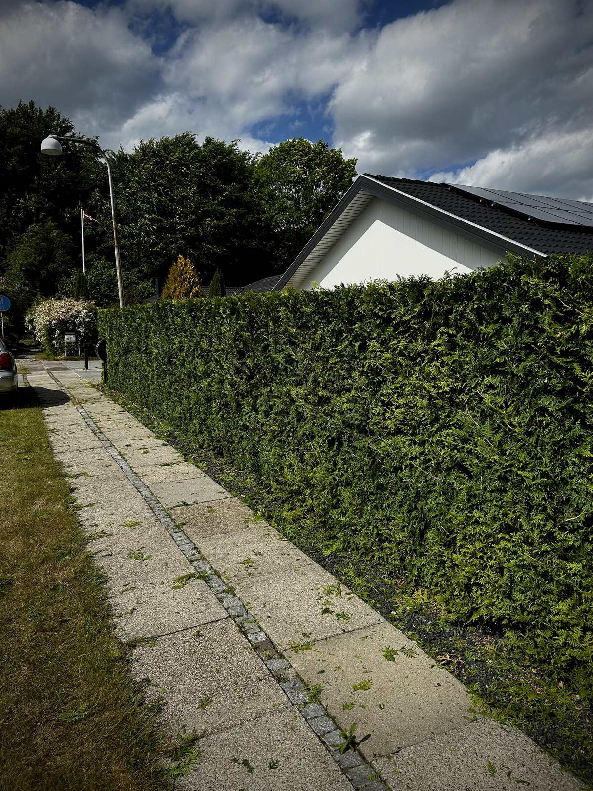 Tujahæk efter