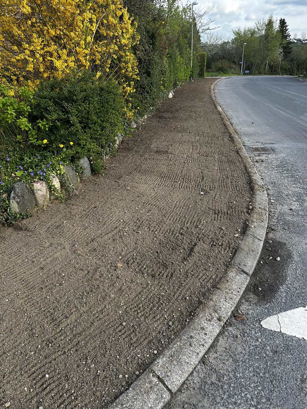 Vejkant efter ukrudtsfjernelse